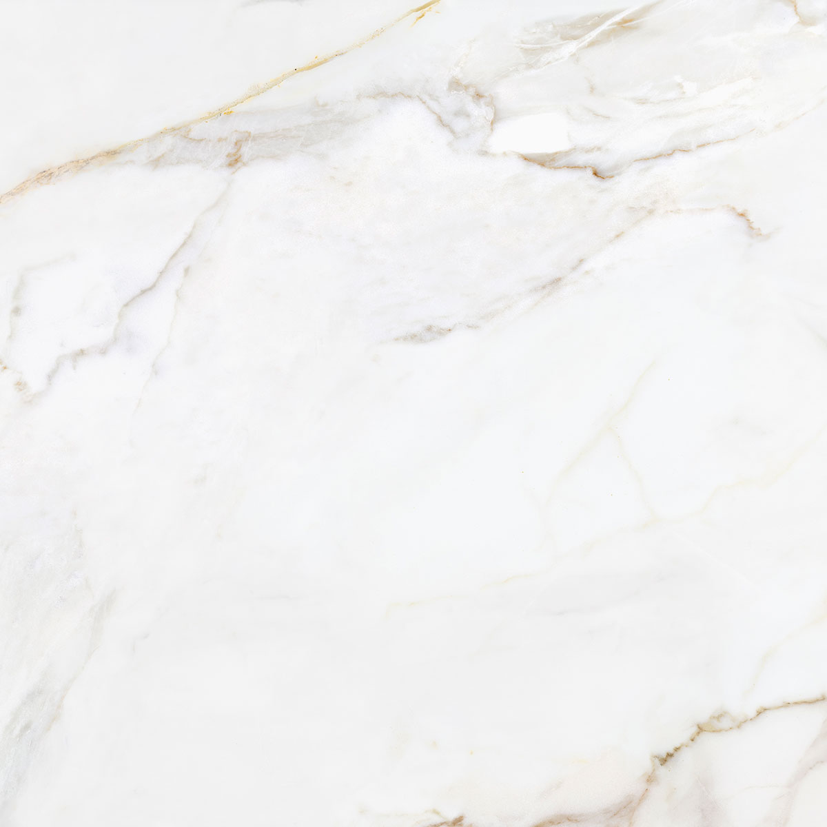 ECOCERAMIC MARSHALL GOLD 120x120 cm lesklá dlažba