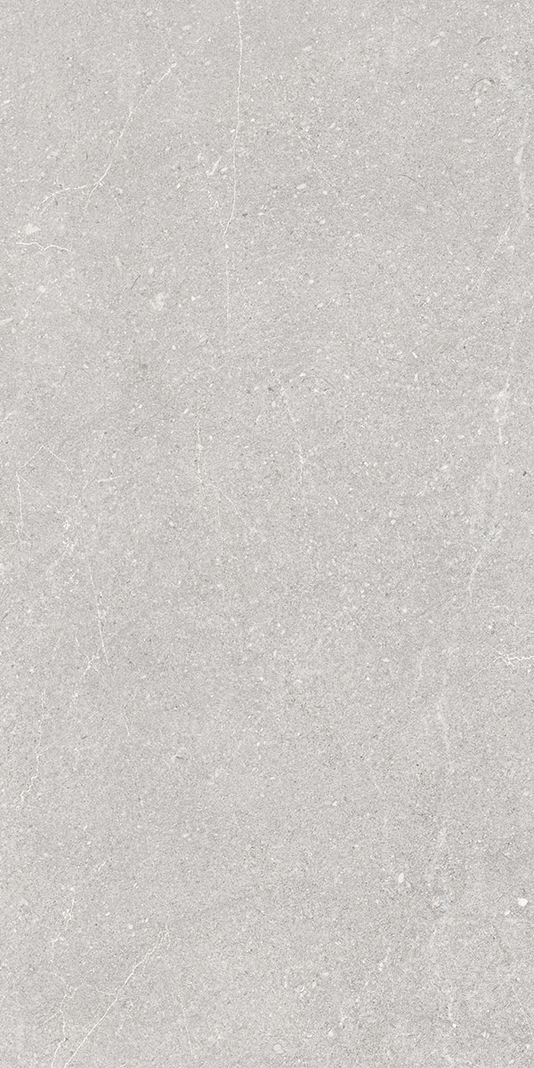 FIORE STONEHENGE GREY 6113 60x120 cm dlažba -15%